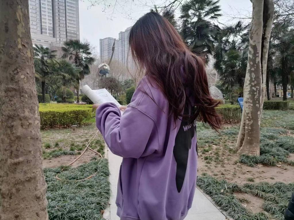 图示, 示意图
中度可信度描述已自动生成:ver1 图示, 示意图
中度可信度描述已自动生成:ver1